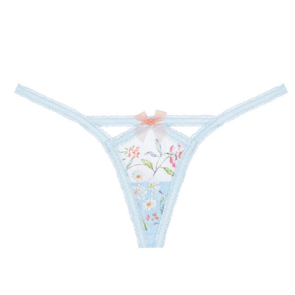 NWT For Love and Lemons FL&L Garden Embroidery Thong Panty XL
